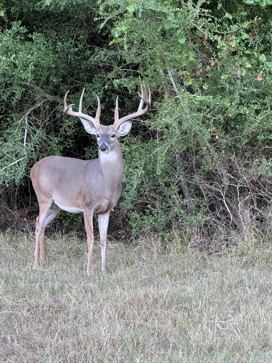 Plan Your Trip with Why Not? Ranch